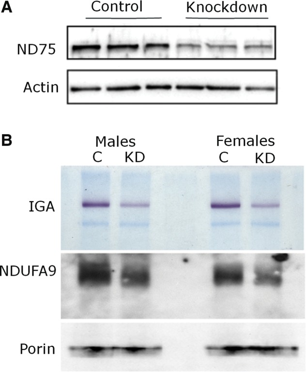 Figure 1.