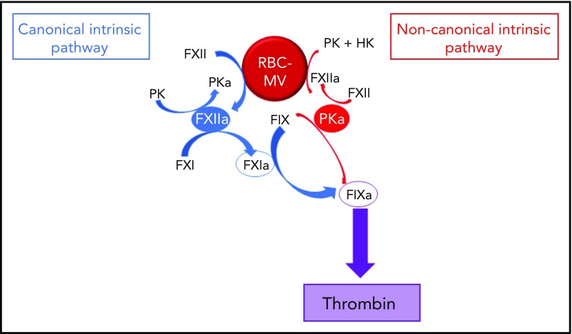 Figure 7.