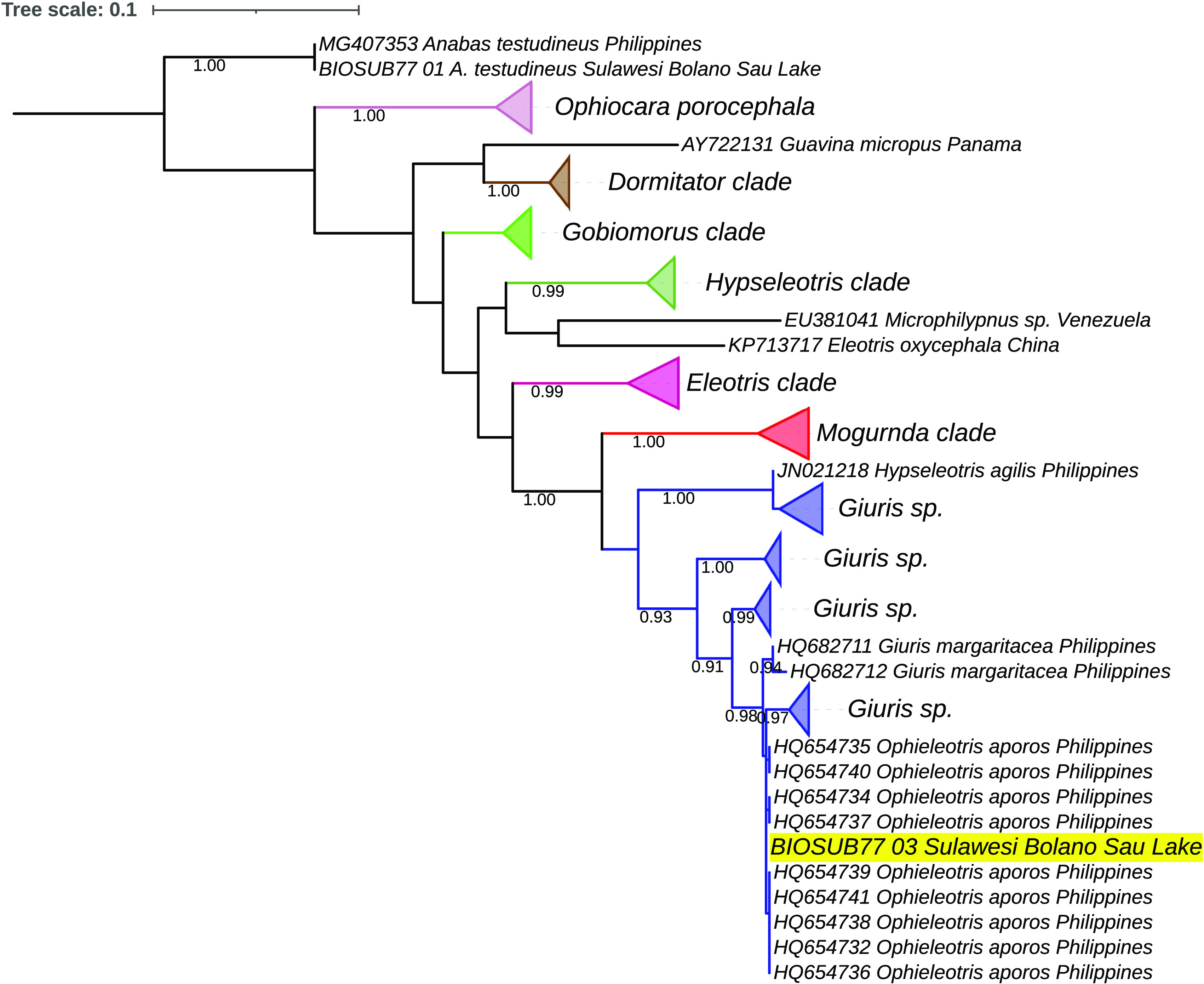 Figure 3. 