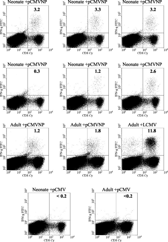 FIG. 2.