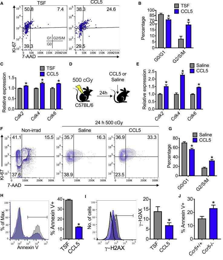 Figure 6