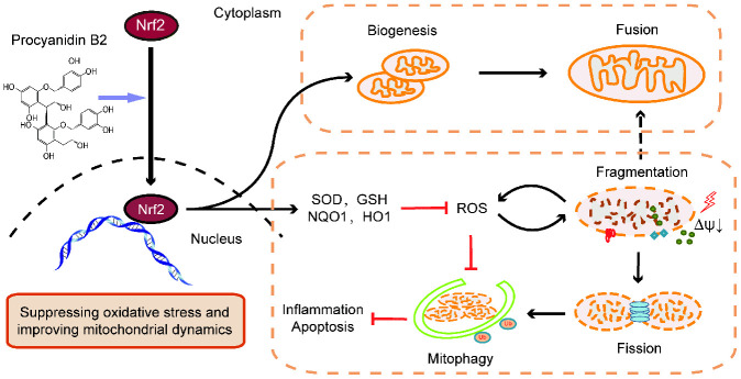 Figure 9