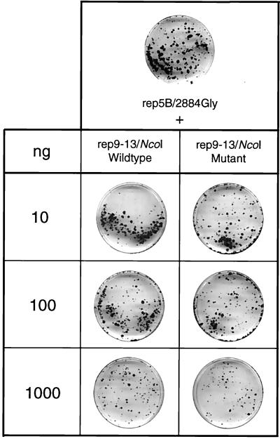 FIG. 6