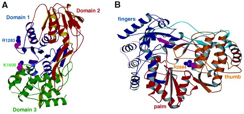 FIG. 8