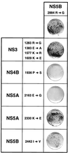 FIG. 7