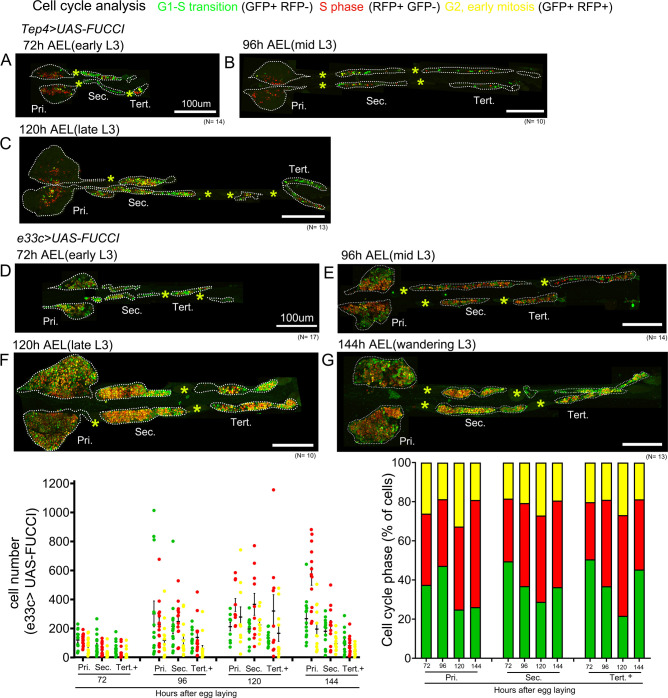 Figure 1—figure supplement 2.