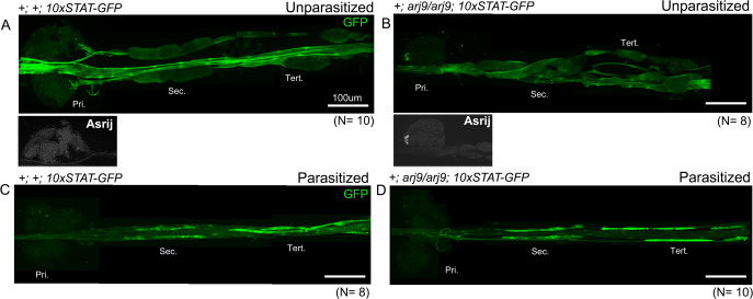 Figure 7—figure supplement 2.