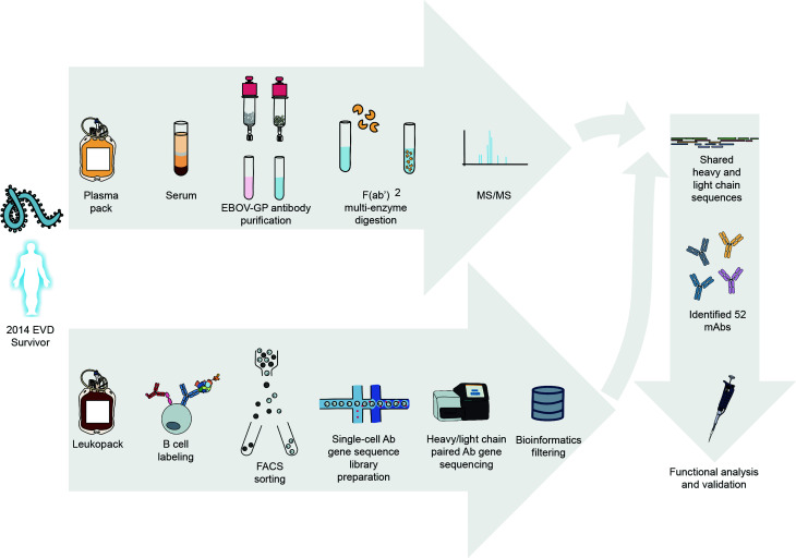 Figure 1