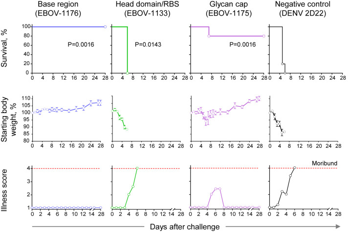 Figure 7