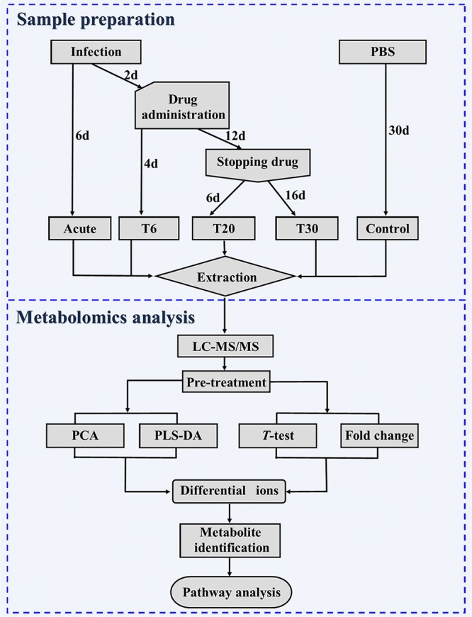 FIG 2