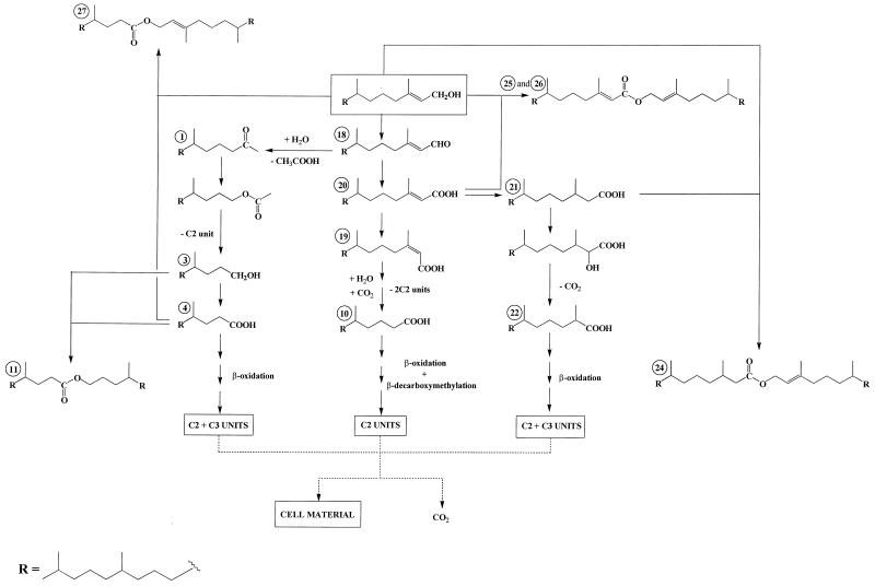 FIG. 4