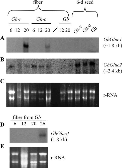 Figure 5.