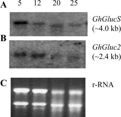 Figure 6.