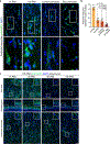 Extended Data Figure 10 |
