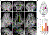 Figure 3 |