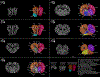 Extended Data Figure 4 |
