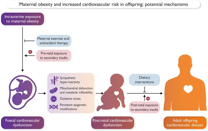 Graphical Abstract