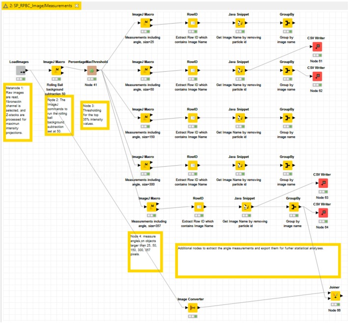 Figure 3—figure supplement 4.