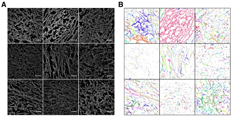 Figure 3—figure supplement 3.