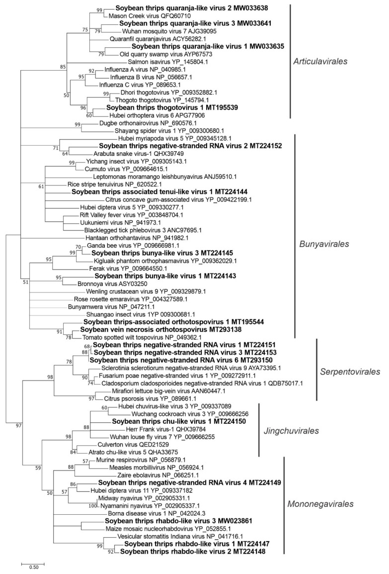 Figure 11