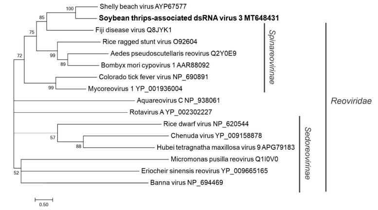 Figure 15