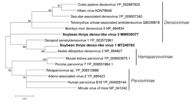 Figure 16