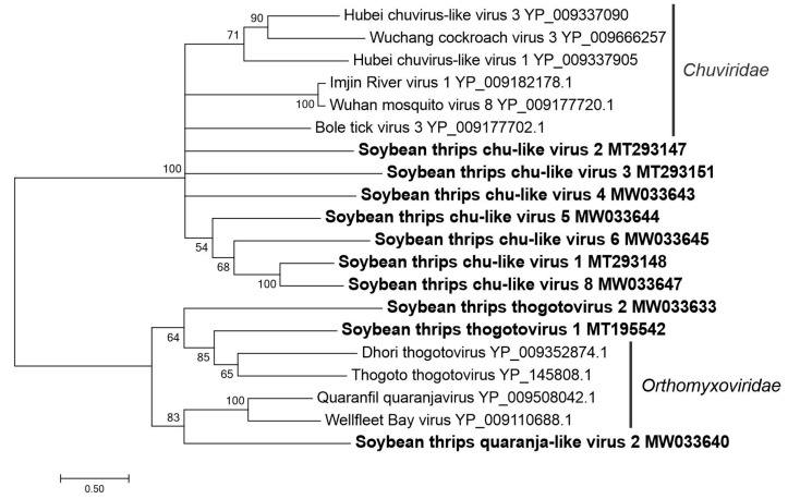 Figure 12