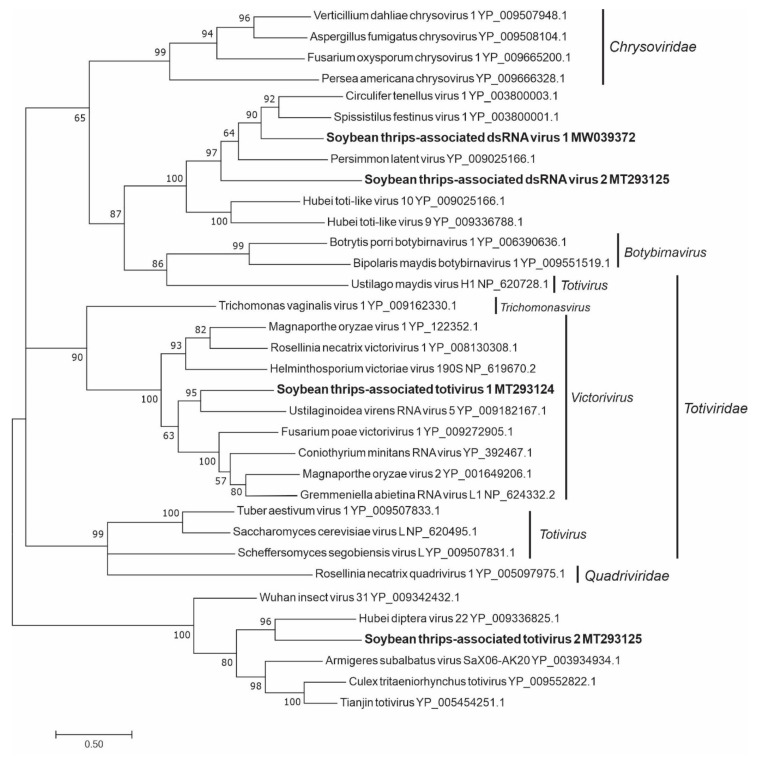 Figure 14