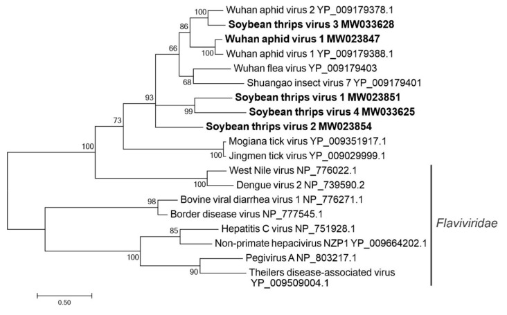 Figure 6