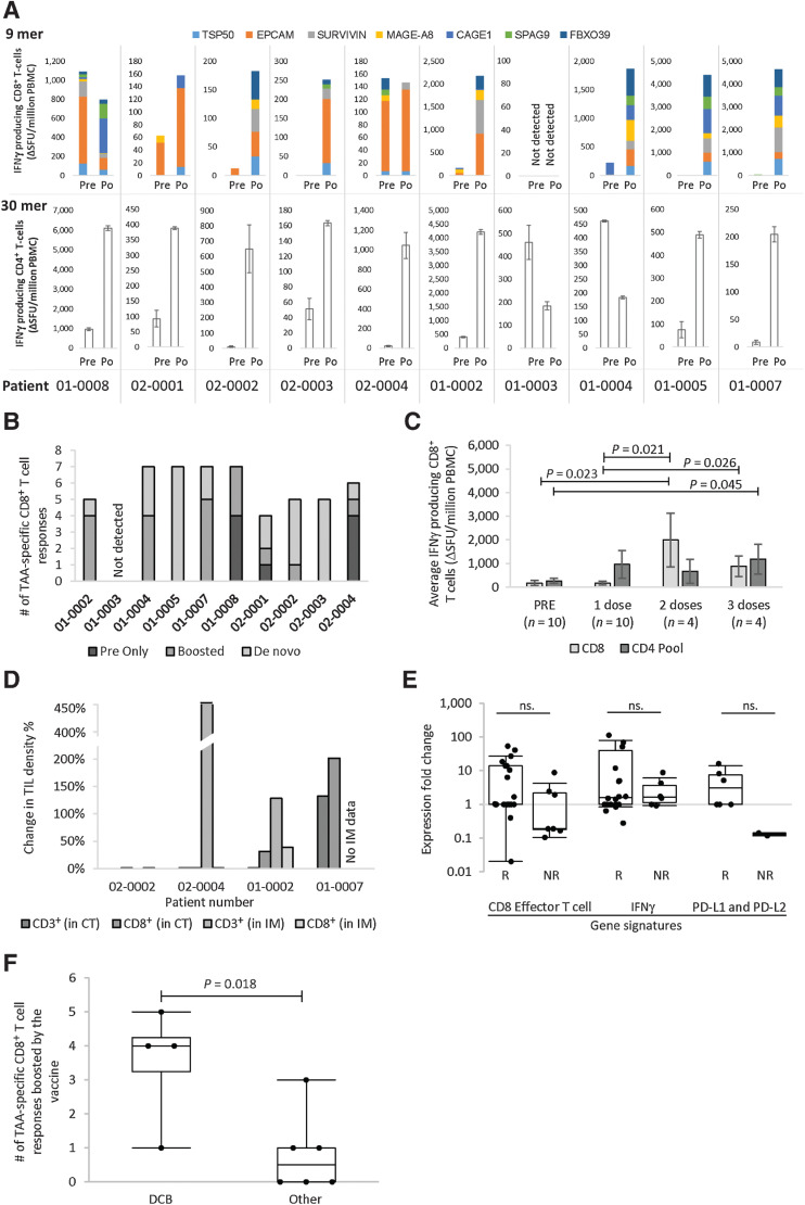 Figure 3. Colorectal cancer-specific immune responses induced by PolyPEPI1018 at peripheral and tumor level indicate treatment benefit. A, The breadth of TAA-specific CD8+ T-cell responses and magnitude of CD4+ T-cell responses in each patient measured by IVS ELISpot. Postvaccination (Po) results are the maximum responses measured for each subject during the study. CD8 T-cell responses were measured using the individual 9-mer test peptides listed in Supplementary Table S1, and summed for obtaining TAA-specific responses. CD4 T-cell responses were measured with the pooled 30-mer peptides. B, Number of responsive vaccine TAAs plotted by patient (n = 10). Dark gray bars: Pre-only: No change or <2-fold increase in responses compared with prevaccination; mid gray bars: response boosted compared with prevaccination (at least 2-fold increase by IVS ELISpot); light gray: de novo induced vaccine-specific immune responses (no prevaccination response measured). C, Magnitude of PolyPEPI1018 vaccine-specific CD8+ and CD4+ T-cell responses detected at baseline and after multiple doses. D, T-cell (TIL) infiltration to the CT and IM area of the tumors post-vaccination assessed by HalioDx's Immunoscore CR TL assay. Changes in TIL density were calculated from IHC data obtained for pre/post-vaccination biopsy pairs; pre: baseline sample (except for Patient 01–0002, it was week 12 sample); Post: tumor biopsy at week 12 (for Patients 02–0002 and 02–0004) or week 38 (Patients 01–0002 and 01–0007). E, Whisker-plot of upregulated gene-expression signatures upon treatment with PolyPEPI1018 for responder (R) tumors (Patients 02–0004, 01–0002 and 01–0007) and a nonresponder (NR) tumor (Patient 02–0002) assessed by NanoString's PanCancer gene-expression panel. Each dot represents the fold change of a gene in a sample. Boxes on the plot represents the quartiles (1 to 3). CD8+ effector T-cell gene signature: [CD8A molecule (CD8A), CD8B molecule (CD8B), eomesodermin (EOMES), granzyme A (GZMA), granzyme B (GZMB), IFNγ (IFNG), and perforin 1 (PRF1)]; IFNγ gene signature: [indoleamine 2,3-dioxygenase 1 (IDO1), C-X-C motif chemokine ligand (CXCL) 9 and 10, MHC class II DR α (HLA-DRA), signal transducer and activator of transcription 1 (STAT1) and IFNG] and PD-L1 and PD-L2 gene signatures. F, Impact of TAA-specific CD8+ T-cell responses boosted by the vaccine (measured by IVS ELISpot) on treatment benefit; DCB, durable clinical benefit = patients with objective tumor response (PR) and/or stabilized disease (SD) for at least 50 weeks on maintenance treatment; Others: patients with no DCB. ΔSFU, background corrected spot-forming units; #, number. ND, not detected; ns., not significant. Error bars represent SEM.