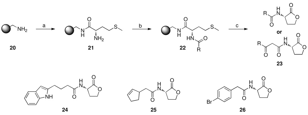 Scheme 2