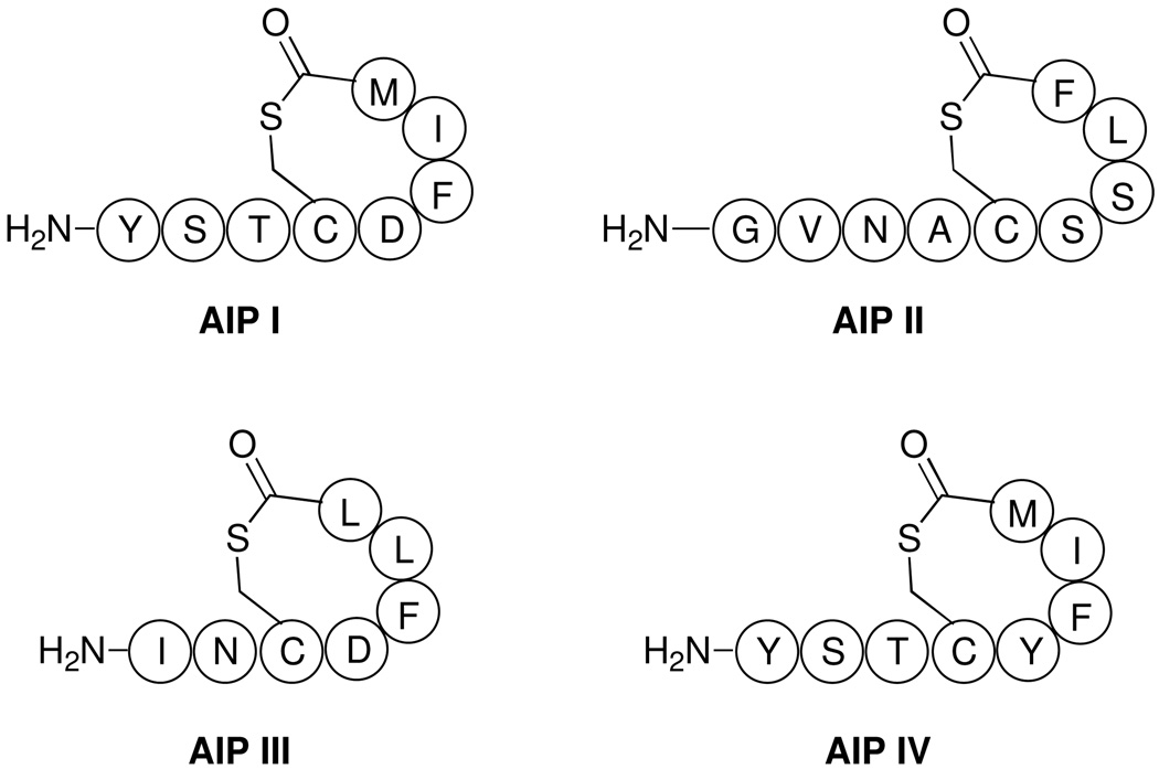 Figure 14