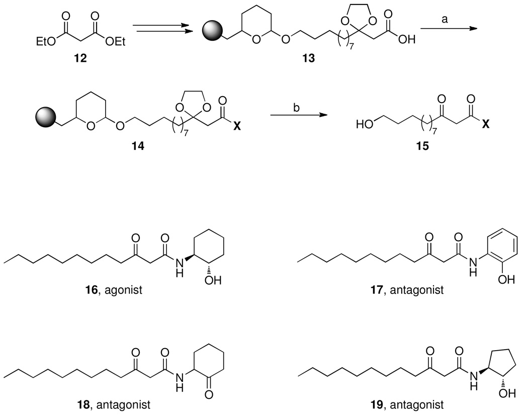 Scheme 1