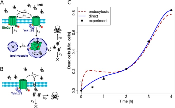 FIGURE 3.