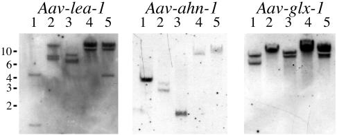 FIG. 5.