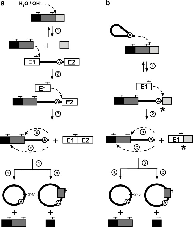 Fig 5