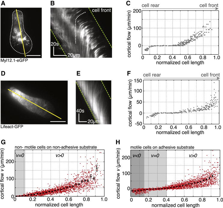 Figure 6