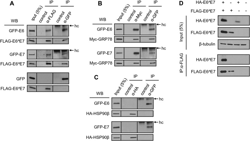 FIG 3 