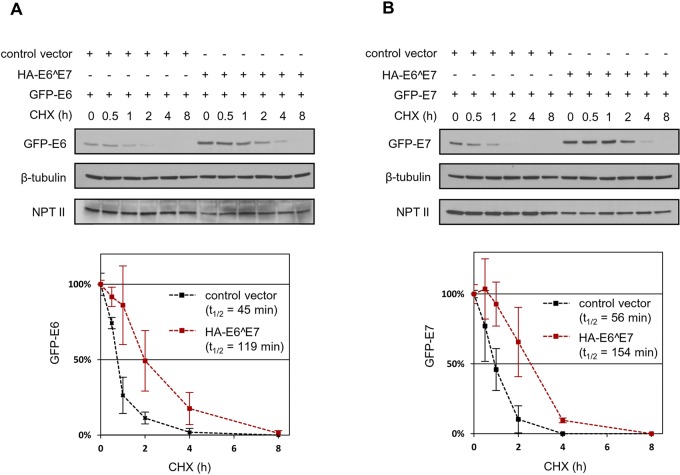 FIG 4 