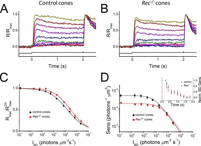 FIGURE 4.