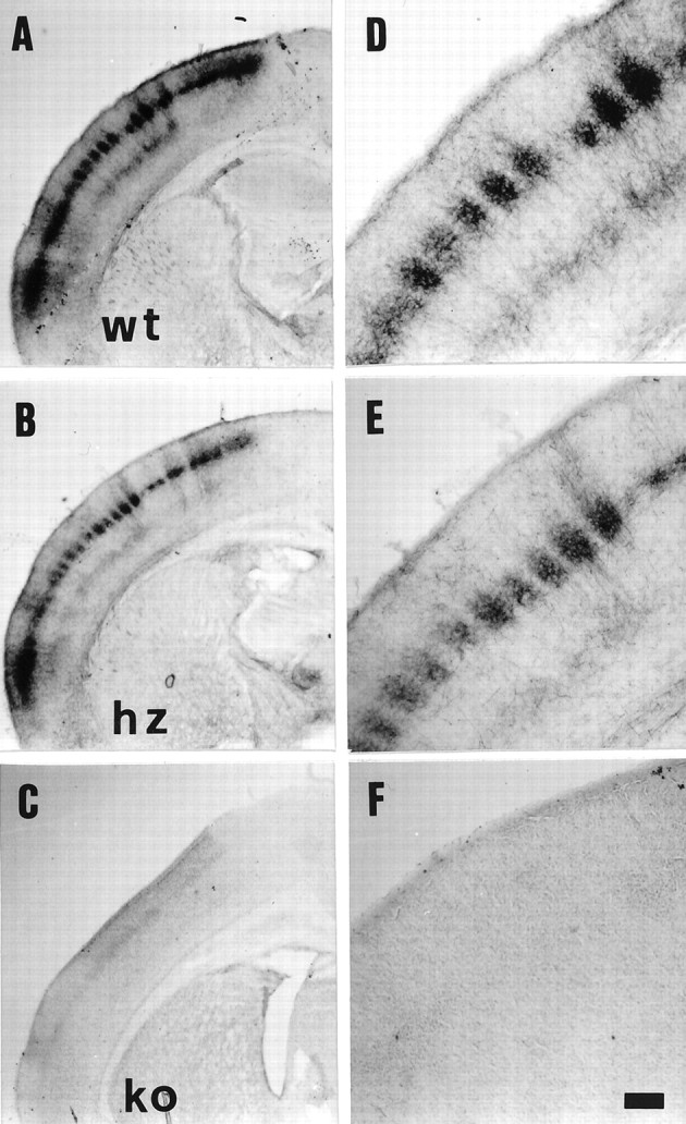 Fig. 9.