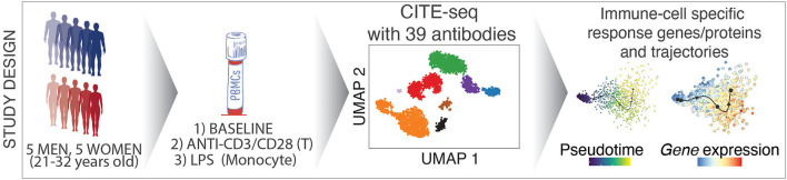 Graphical Abstract