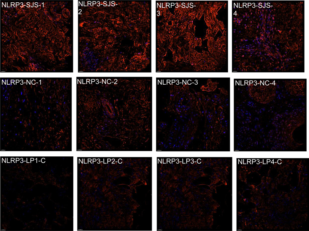 Figure 3: