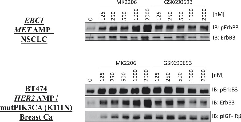 Figure 1—figure supplement 9.