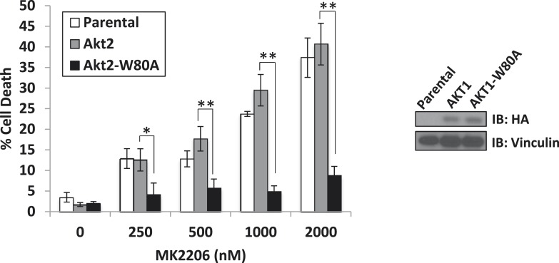 Figure 1—figure supplement 5.