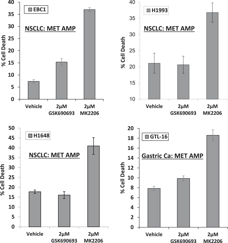 Figure 1—figure supplement 2.