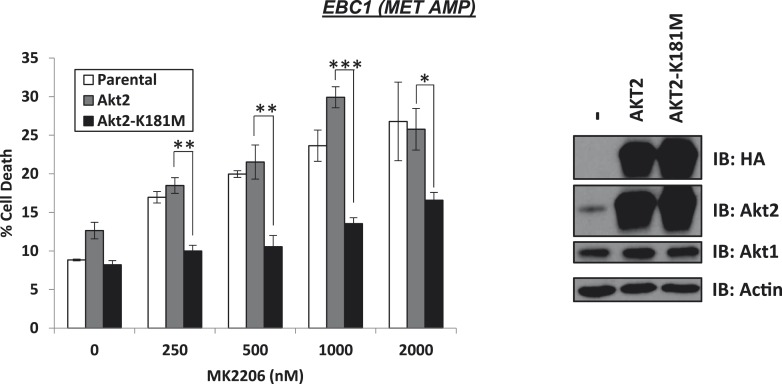 Figure 2—figure supplement 1.