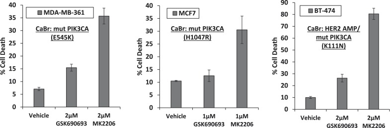 Figure 1—figure supplement 3.