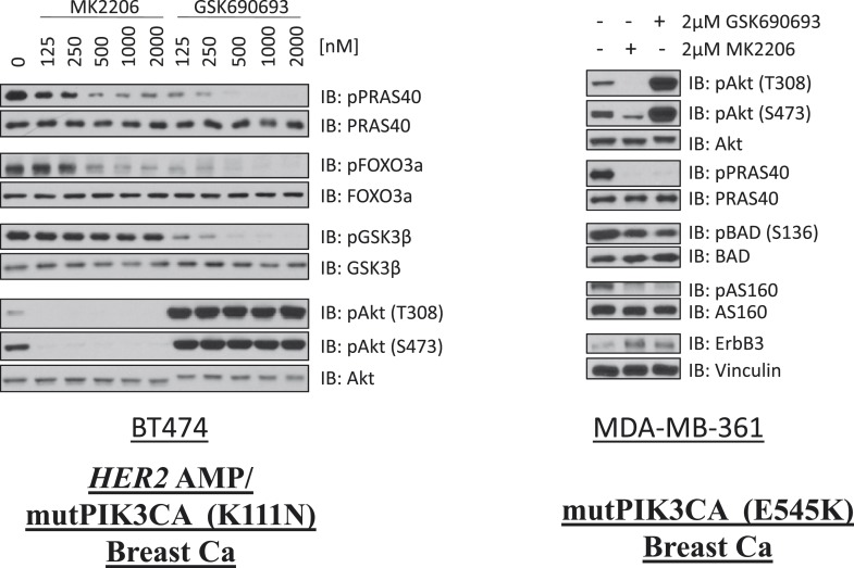 Figure 1—figure supplement 8.