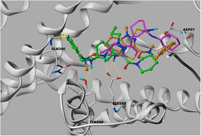 Figure 6